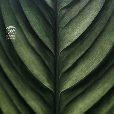 organics-feuille-fond