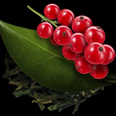 la-senteur-thevert-groseille-soin-saisonnier-printemps-ete-visage-et-corps-2026-Sothys-Paris-1